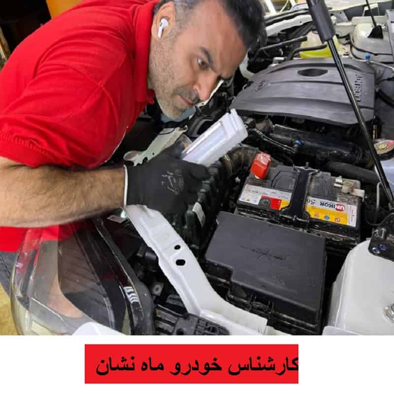 کارشناس بدنه ماه نشان