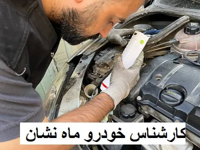 تشخیص رنگ بدنه خودرو ماه نشان