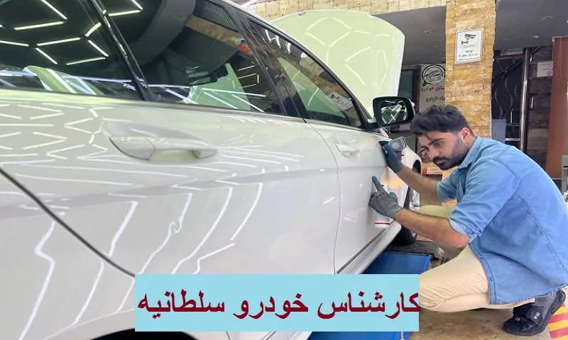 کارشناس خودرو سلطانیه - بررسی صفر تا صد مشکلات فنی و رنگ ماشین